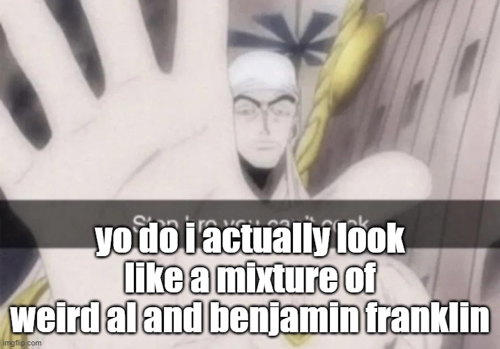 Stop bro you can't cook | yo do i actually look like a mixture of weird al and benjamin franklin | image tagged in stop bro you can't cook | made w/ Imgflip meme maker
