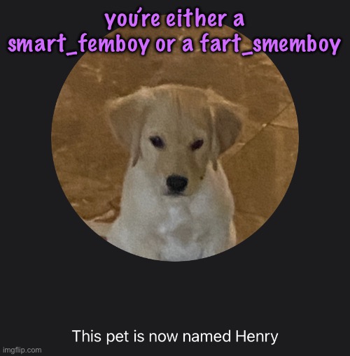 say hi to Henry | you’re either a smart_femboy or a fart_smemboy | image tagged in say hi to henry | made w/ Imgflip meme maker