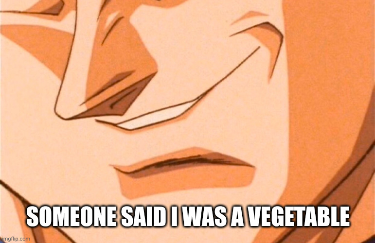 Vegeta smile | SOMEONE SAID I WAS A VEGETABLE | image tagged in vegeta smile | made w/ Imgflip meme maker