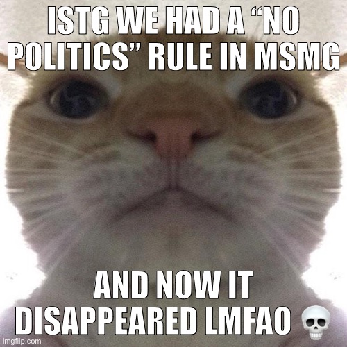 I think I’m tweaking | ISTG WE HAD A “NO POLITICS” RULE IN MSMG; AND NOW IT DISAPPEARED LMFAO 💀 | image tagged in staring cat/gusic | made w/ Imgflip meme maker