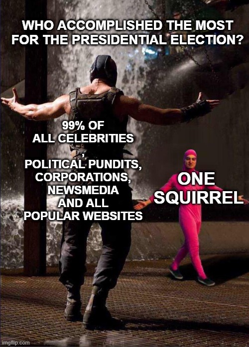 Pink Guy vs Bane | WHO ACCOMPLISHED THE MOST FOR THE PRESIDENTIAL ELECTION? 99% OF ALL CELEBRITIES , POLITICAL PUNDITS, CORPORATIONS, NEWSMEDIA AND ALL POPULAR WEBSITES; ONE  SQUIRREL | image tagged in pink guy vs bane | made w/ Imgflip meme maker