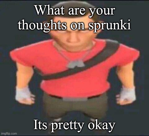 bro | What are your thoughts on sprunki; Its pretty okay | image tagged in bro | made w/ Imgflip meme maker