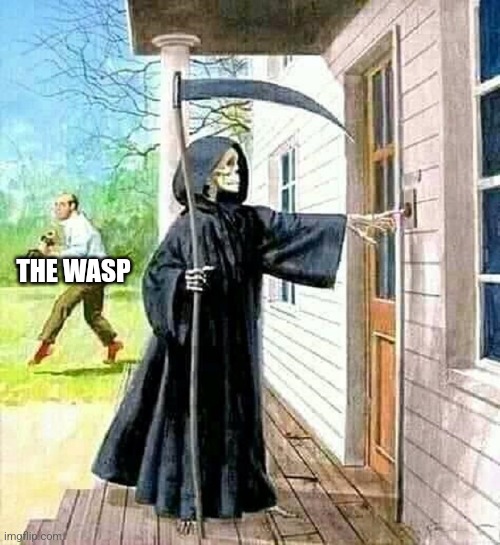 THE WASP | image tagged in death knocks as man sneaks away | made w/ Imgflip meme maker