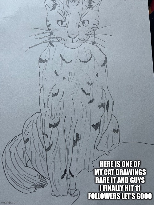 Rate my car drawing | HERE IS ONE OF MY CAT DRAWINGS RARE IT AND GUYS I FINALLY HIT 11 FOLLOWERS LET’S GOOO | made w/ Imgflip meme maker