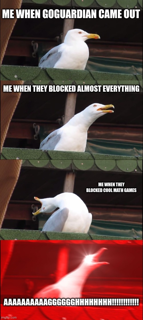 Inhaling Seagull | ME WHEN GOGUARDIAN CAME OUT; ME WHEN THEY BLOCKED ALMOST EVERYTHING; ME WHEN THEY BLOCKED COOL MATH GAMES; AAAAAAAAAAGGGGGGHHHHHHHH!!!!!!!!!!!! | image tagged in memes,inhaling seagull | made w/ Imgflip meme maker