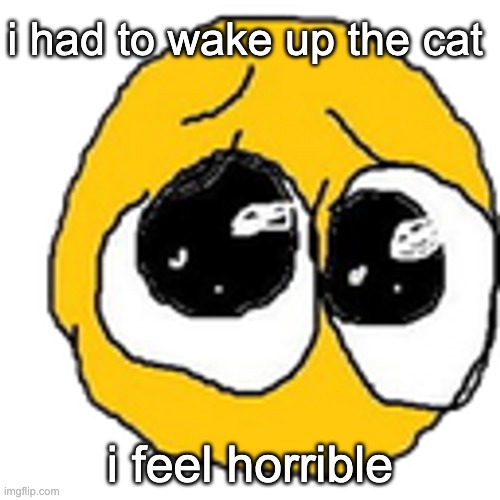 sobs | i had to wake up the cat; i feel horrible | image tagged in cursed pleading emojii | made w/ Imgflip meme maker