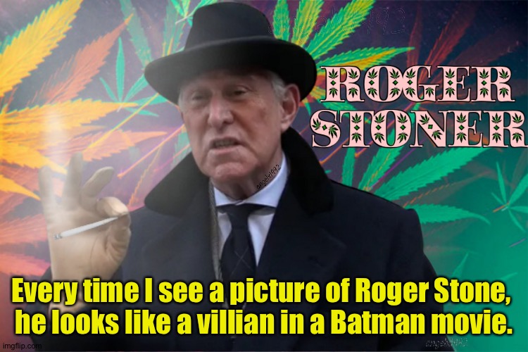 The Stoner | Every time I see a picture of Roger Stone, 
he looks like a villian in a Batman movie. | image tagged in roger stone | made w/ Imgflip meme maker