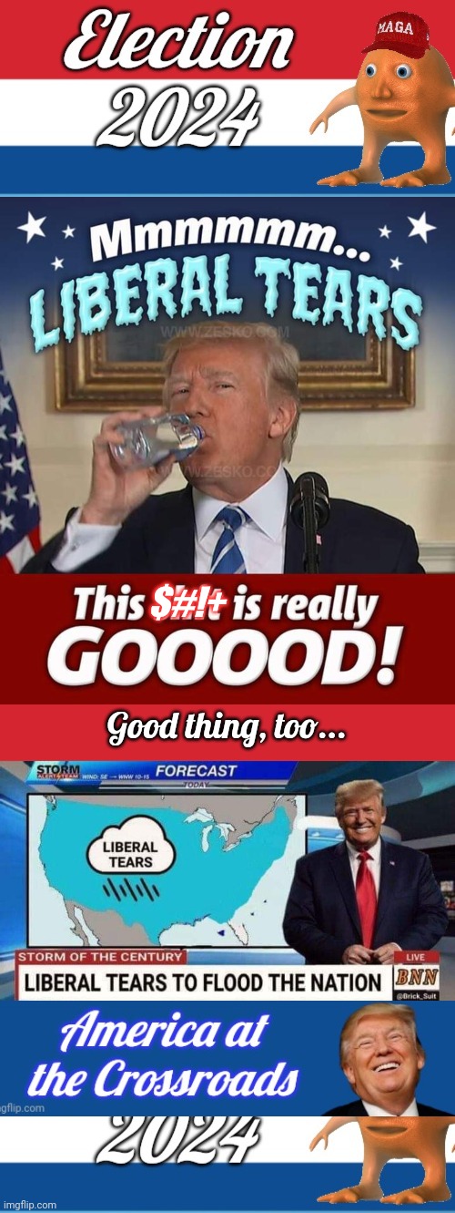 Drowning in Liberal tears | $#!+; Good thing, too... | image tagged in election 2025,memes,keep calm and carry on red,trump weatherman liberal tears | made w/ Imgflip meme maker