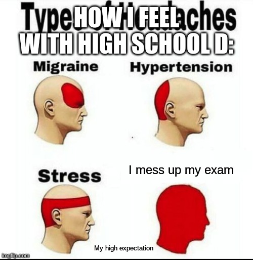 How I feel with high school D: | HOW I FEEL WITH HIGH SCHOOL D:; I mess up my exam; My high expectation | image tagged in types of headaches meme | made w/ Imgflip meme maker