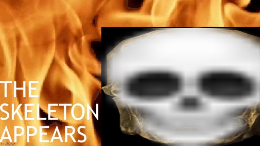 The Skeleton Appears | image tagged in the skeleton appears | made w/ Imgflip meme maker