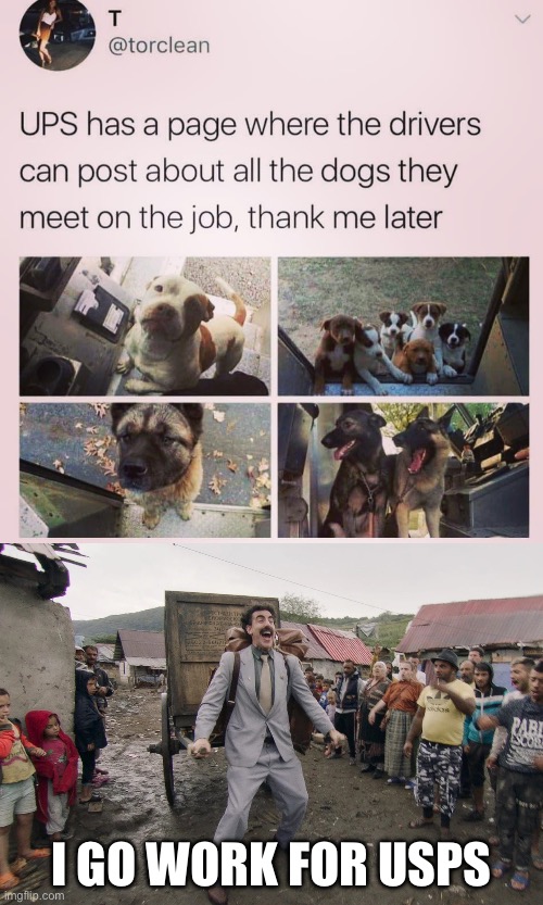 USPS dogs | I GO WORK FOR USPS | image tagged in borat i go to america,usps,dogs | made w/ Imgflip meme maker