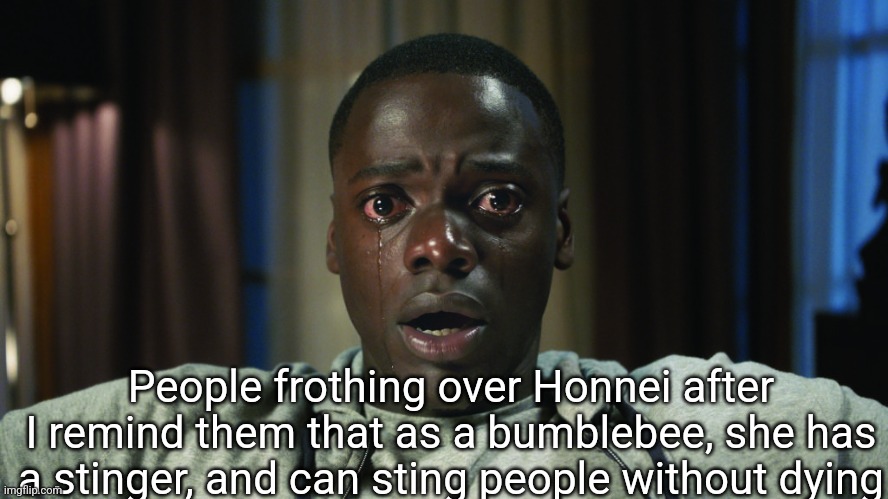 Get Out meme | People frothing over Honnei after I remind them that as a bumblebee, she has a stinger, and can sting people without dying | image tagged in get out meme | made w/ Imgflip meme maker