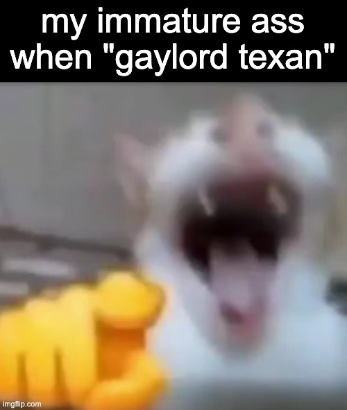 lmfaooo | my immature ass when "gaylord texan" | image tagged in cat pointing and laughing | made w/ Imgflip meme maker