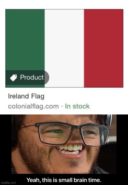 "Ireland flag" | image tagged in yeah this is small brain time,ireland,flag,flags,you had one job,memes | made w/ Imgflip meme maker