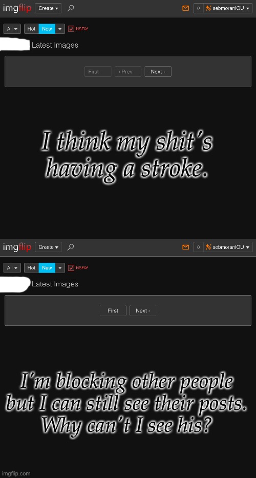 How Am I Supposed To Know If They're Worth Unblocking If I Can't See Their Shit? | I think my shit's having a stroke. I'm blocking other people but I can still see their posts.
Why can't I see his? | image tagged in first time this has happened,mixed feelings about this user,imgflip having a stroke again,what even is this shit | made w/ Imgflip meme maker