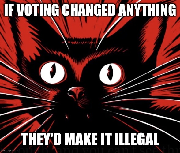 Sabo tabby cat | IF VOTING CHANGED ANYTHING THEY'D MAKE IT ILLEGAL | image tagged in sabo tabby cat | made w/ Imgflip meme maker