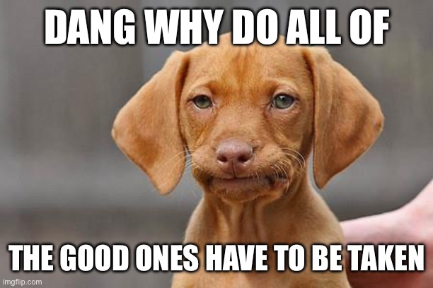 Dissapointed puppy | DANG WHY DO ALL OF; THE GOOD ONES HAVE TO BE TAKEN | image tagged in dissapointed puppy | made w/ Imgflip meme maker