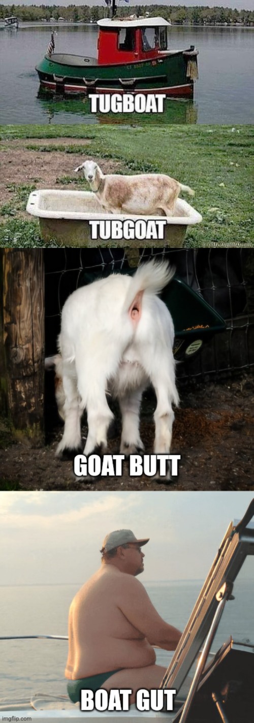 Boats and Goats | image tagged in boats,goats,play on words,butts,guts,nuts | made w/ Imgflip meme maker