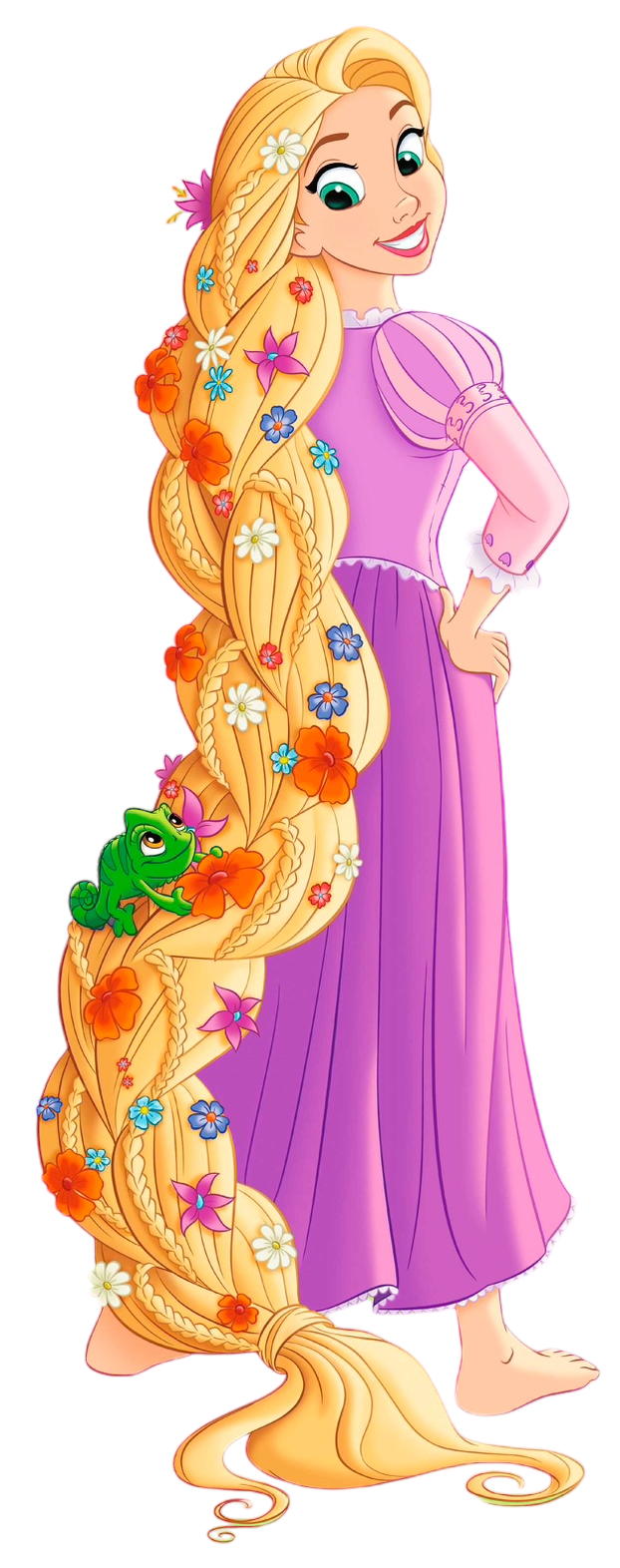 Rapunzel Blank Meme Template