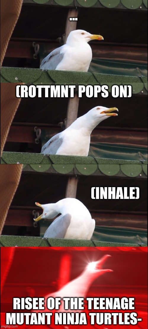 Inhaling Seagull Meme | ... (ROTTMNT POPS ON); (INHALE); RISEE OF THE TEENAGE MUTANT NINJA TURTLES- | image tagged in memes,inhaling seagull,teenage mutant ninja turtles | made w/ Imgflip meme maker