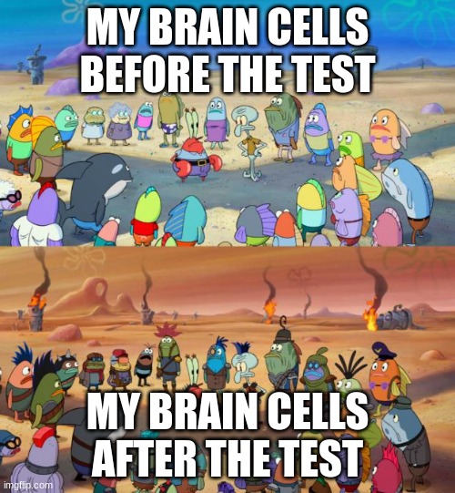 Test... | MY BRAIN CELLS BEFORE THE TEST; MY BRAIN CELLS AFTER THE TEST | image tagged in spongebob apocalypse | made w/ Imgflip meme maker