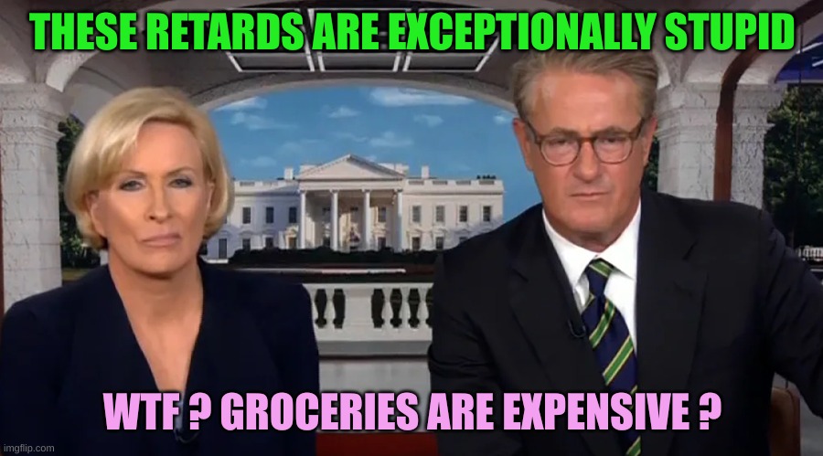 Morning Joe | THESE RETARDS ARE EXCEPTIONALLY STUPID WTF ? GROCERIES ARE EXPENSIVE ? | image tagged in morning joe | made w/ Imgflip meme maker