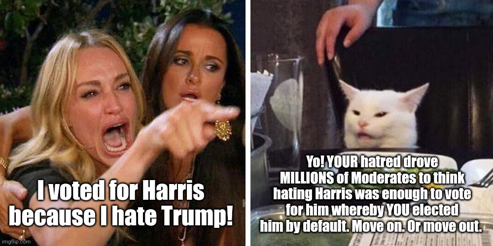 Smudge election thoughts | I voted for Harris because I hate Trump! Yo! YOUR hatred drove MILLIONS of Moderates to think hating Harris was enough to vote for him whereby YOU elected him by default. Move on. Or move out. | image tagged in smudge the cat,election,trump,cats,true | made w/ Imgflip meme maker