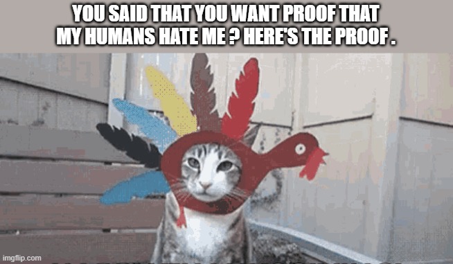 memes by Brad - Cat gives proof that his human doesn't like him | YOU SAID THAT YOU WANT PROOF THAT MY HUMANS HATE ME ? HERE'S THE PROOF . | image tagged in cats,funny,fun,kitten,humor,thanksgiving | made w/ Imgflip meme maker