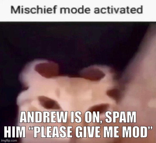 For the funny | ANDREW IS ON, SPAM HIM “PLEASE GIVE ME MOD” | image tagged in mischief mode activated | made w/ Imgflip meme maker