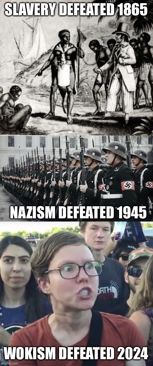 SLAVERY DEFEATED 1865; NAZISM DEFEATED 1945; WOKISM DEFEATED 2024 | image tagged in black slavery,nazi soldiers,triggered feminist | made w/ Imgflip meme maker