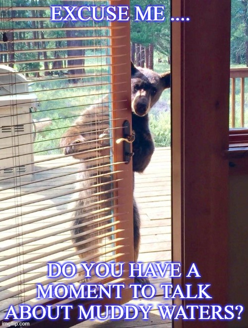 EXCUSE ME .... DO YOU HAVE A MOMENT TO TALK ABOUT MUDDY WATERS? | image tagged in music | made w/ Imgflip meme maker