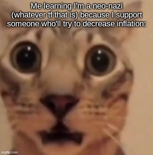 chat what is a neo Nazi | Me learning I'm a neo-nazi (whatever tf that is) because I support someone who'll try to decrease inflation: | image tagged in flabbergasted cat | made w/ Imgflip meme maker