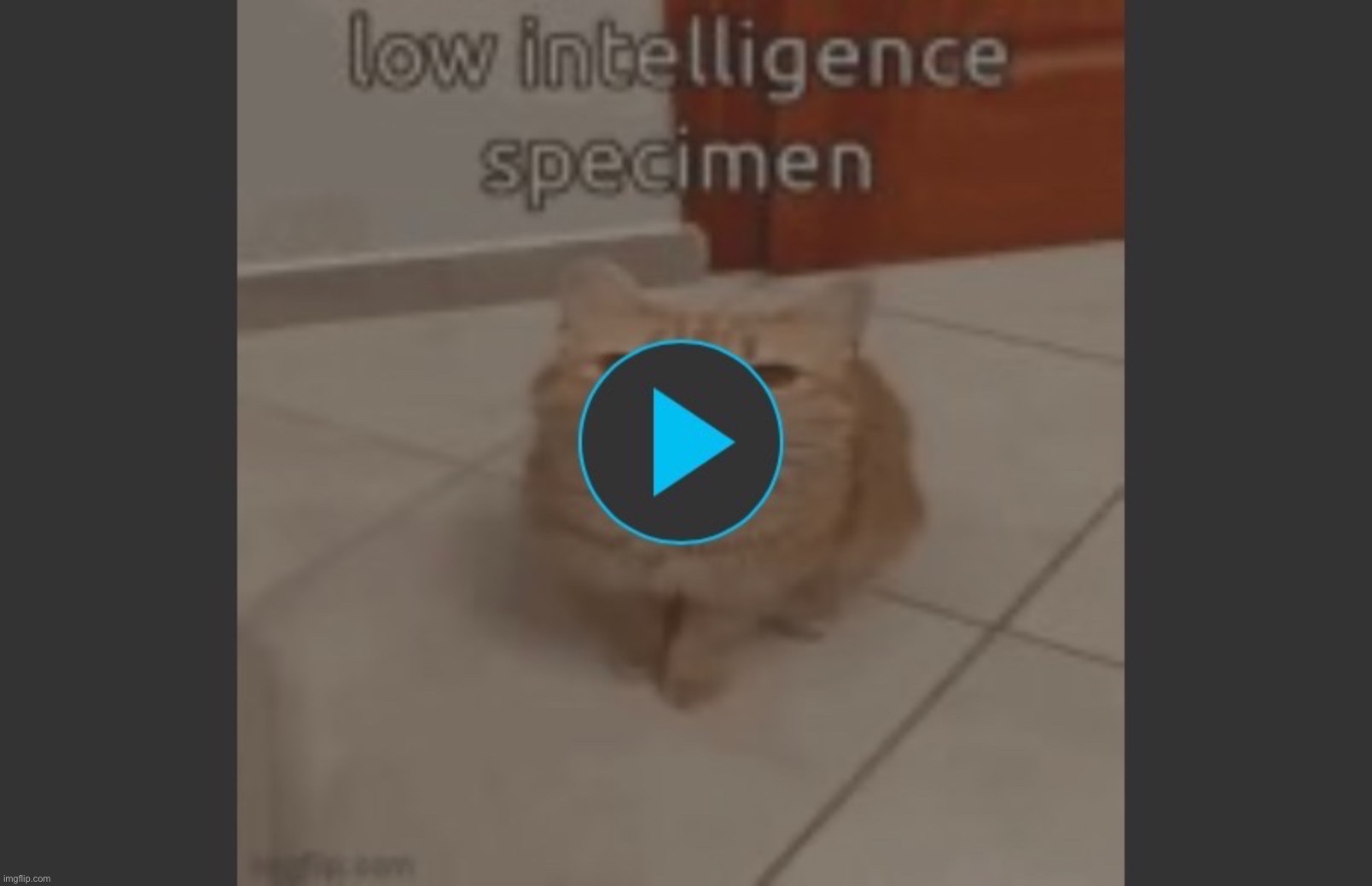 Low intelligence specimen | image tagged in low intelligence specimen | made w/ Imgflip meme maker