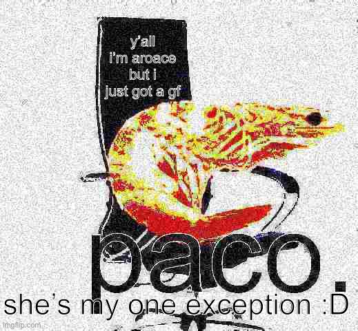 j u m p a c a r e | y’all i’m aroace but i just got a gf; she’s my one exception :D | image tagged in paco | made w/ Imgflip meme maker