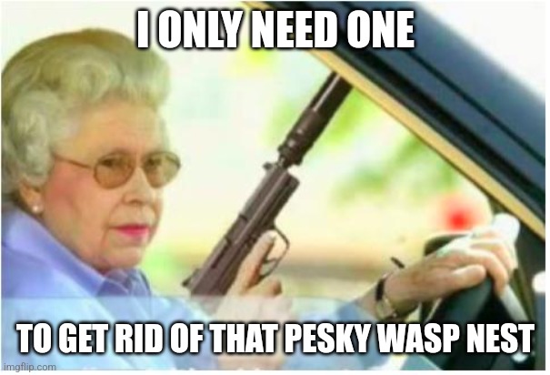 I ONLY NEED ONE TO GET RID OF THAT PESKY WASP NEST | image tagged in grandma gun weeb killer | made w/ Imgflip meme maker