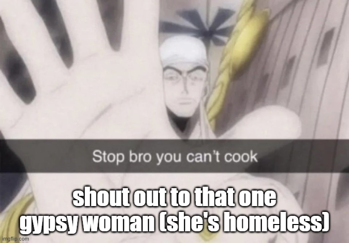 Stop bro you can't cook | shout out to that one gypsy woman (she's homeless) | image tagged in stop bro you can't cook | made w/ Imgflip meme maker