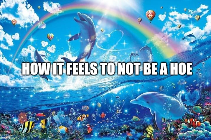 heavy on some cancelled users | HOW IT FEELS TO NOT BE A HOE | image tagged in happy dolphin rainbow | made w/ Imgflip meme maker