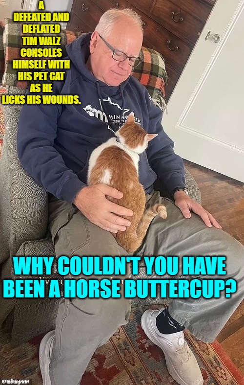 Annnnnd hopefully THAT will be the last Walz meme I ever do. | A DEFEATED AND DEFLATED TIM WALZ CONSOLES HIMSELF WITH HIS PET CAT AS HE LICKS HIS WOUNDS. WHY COULDN'T YOU HAVE BEEN A HORSE BUTTERCUP? | image tagged in yep | made w/ Imgflip meme maker