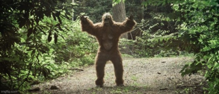 Big Foot | image tagged in big foot | made w/ Imgflip meme maker