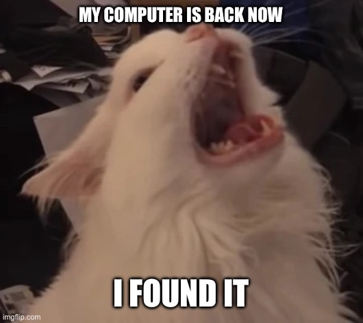 Meow | MY COMPUTER IS BACK NOW; I FOUND IT | image tagged in meow | made w/ Imgflip meme maker