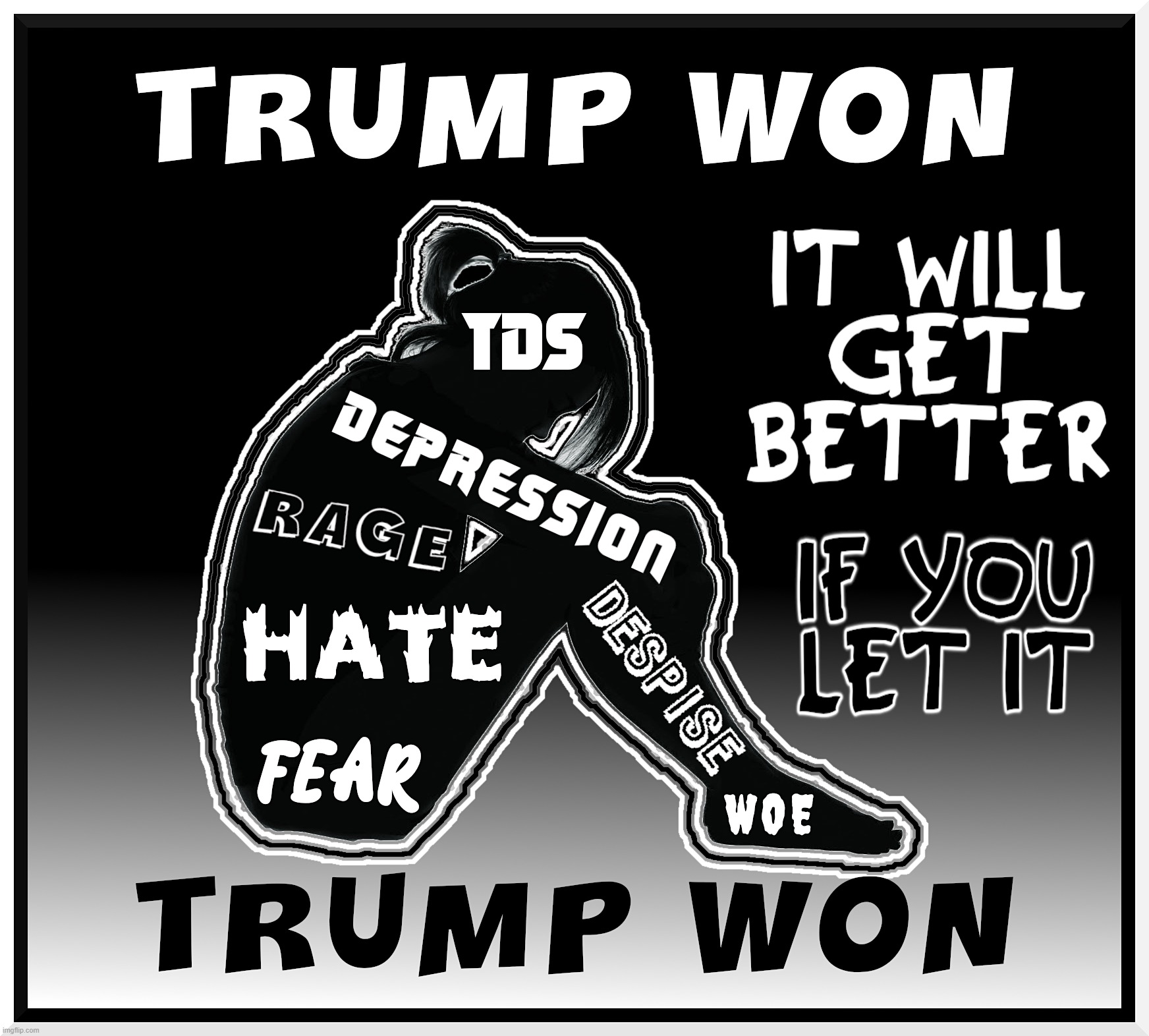 LET IT GET BETTER... | TRUMP WON TDS DEPRESSION RAGE
HATE FEAR DESPISE WOE; IT WILL GET BETTER
IF YOU LET IT | image tagged in trump,won,tds,hate,fear,better | made w/ Imgflip meme maker