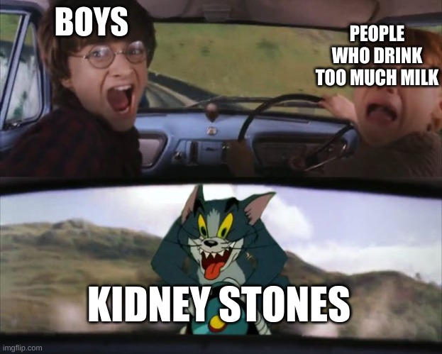 Crazy Tom Car | PEOPLE WHO DRINK TOO MUCH MILK; BOYS; KIDNEY STONES | image tagged in crazy tom car | made w/ Imgflip meme maker