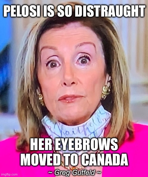 Greg Gutfeld’s monologue was hilarious. | PELOSI IS SO DISTRAUGHT; HER EYEBROWS MOVED TO CANADA; ~ Greg Gutfeld ~ | image tagged in nancy pelosi eyebrows,trump 2024,looney liberals | made w/ Imgflip meme maker