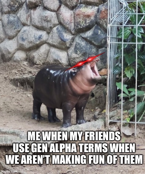 You better relate | ME WHEN MY FRIENDS USE GEN ALPHA TERMS WHEN WE AREN’T MAKING FUN OF THEM | image tagged in moo deng aaaaahhhhh | made w/ Imgflip meme maker