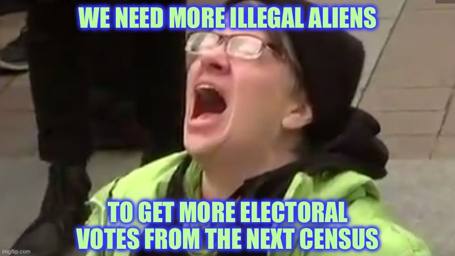 Screaming Liberal  | WE NEED MORE ILLEGAL ALIENS TO GET MORE ELECTORAL VOTES FROM THE NEXT CENSUS | image tagged in screaming liberal | made w/ Imgflip meme maker