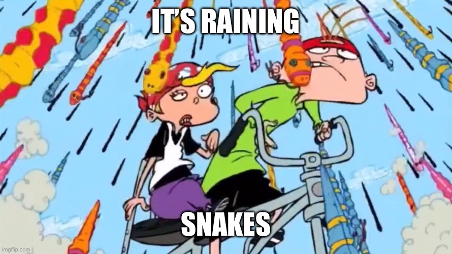 From out of the sky: | IT’S RAINING; SNAKES | image tagged in meme,ed edd n eddy,raining tacos,snake | made w/ Imgflip meme maker