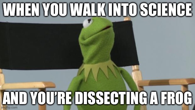 Oh no | WHEN YOU WALK INTO SCIENCE; AND YOU’RE DISSECTING A FROG | image tagged in kermit scared look | made w/ Imgflip meme maker