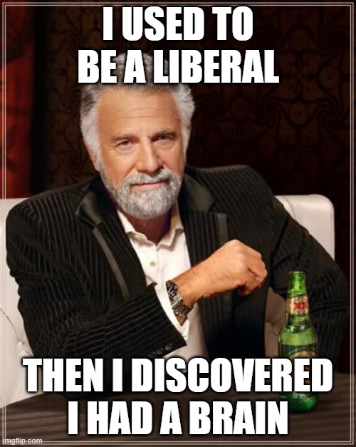 true story btw | I USED TO BE A LIBERAL; THEN I DISCOVERED I HAD A BRAIN | image tagged in memes,the most interesting man in the world,politics,republican,republicans | made w/ Imgflip meme maker