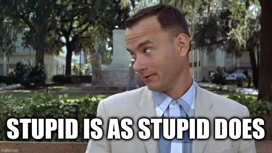 Forrest Gump Face | STUPID IS AS STUPID DOES | image tagged in forrest gump face | made w/ Imgflip meme maker