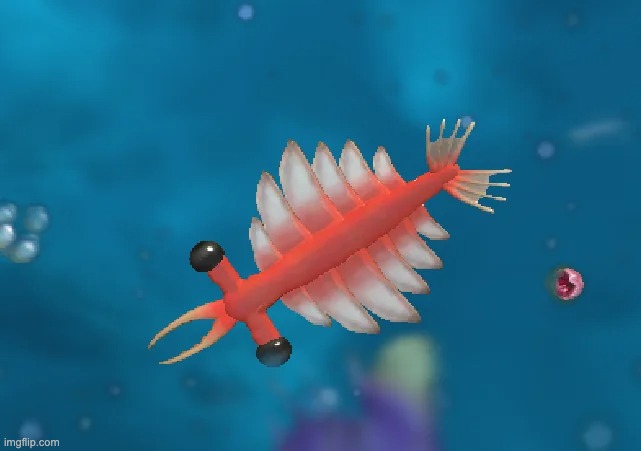 anomalocaris my beloved | made w/ Imgflip meme maker